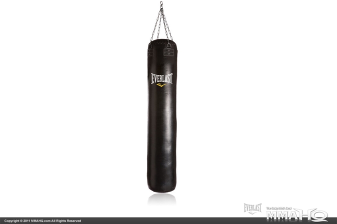 100lb Thai Bag by Everlast